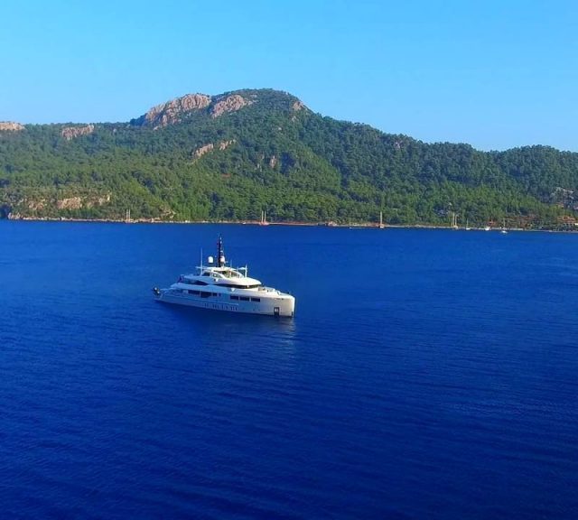 YAŞAM ALANLARINDA BÜTÜNLÜK HAKİM