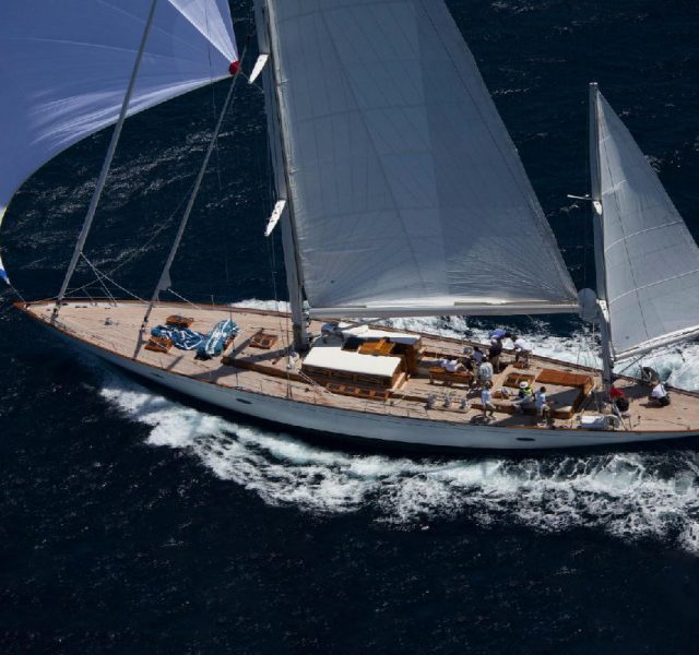 Sedir ve köknarın uyumu: Bequia