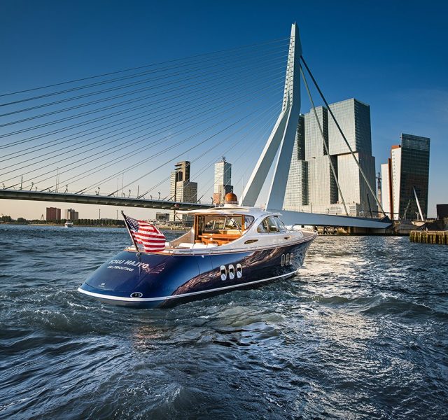 Yüzde yüz Hollandalı