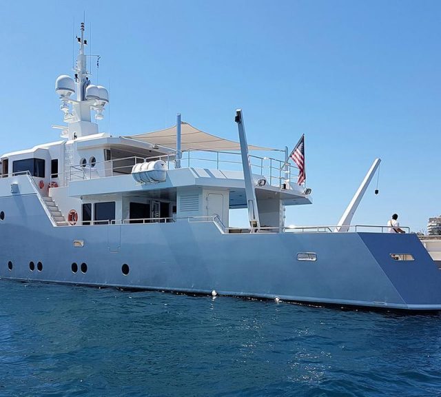 Ceylan sahibine kavuştu