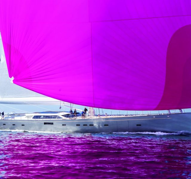 Denizde renk cümbüşü