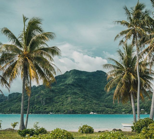 FRANSIZ POLİNEZYASI