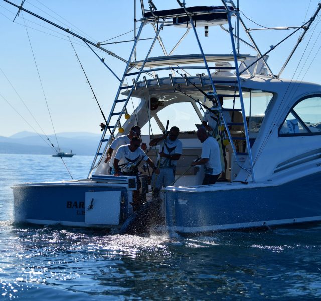 Big Fish Turkey 2021’de, en büyük balığı Baracuda teknesi kaptı