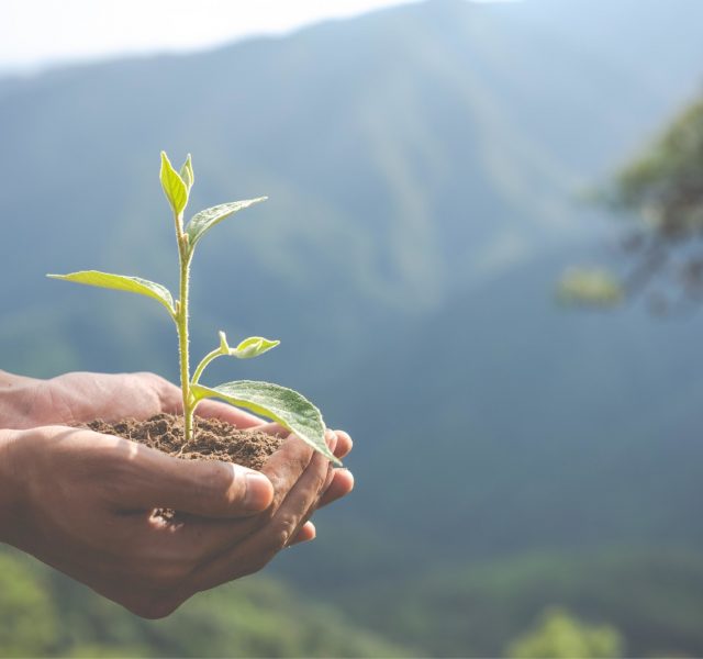 Dünya bekleyemez biz de bekleyemeyiz
