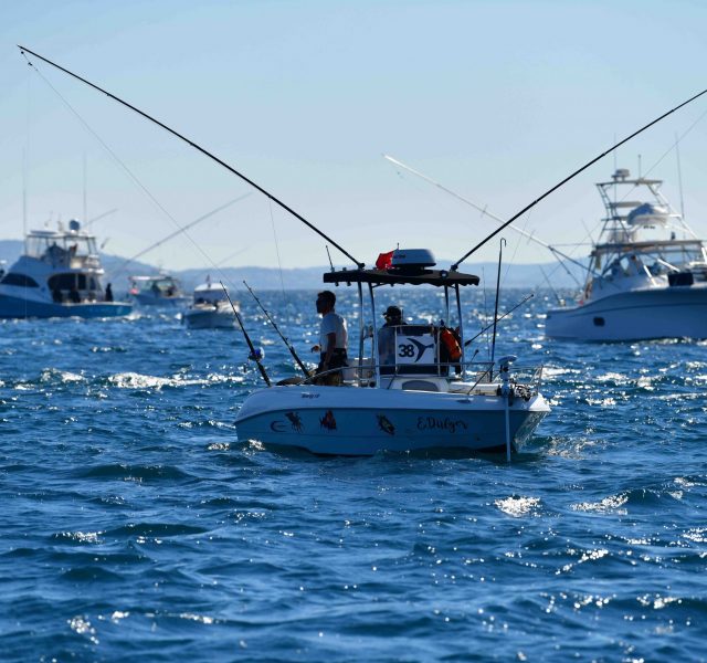 En büyük balığı kim kapacak?