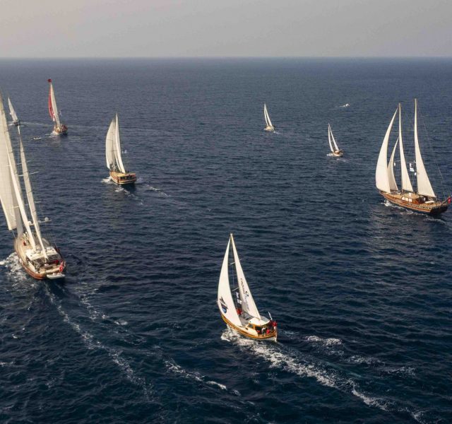 Maviye güç katanlar